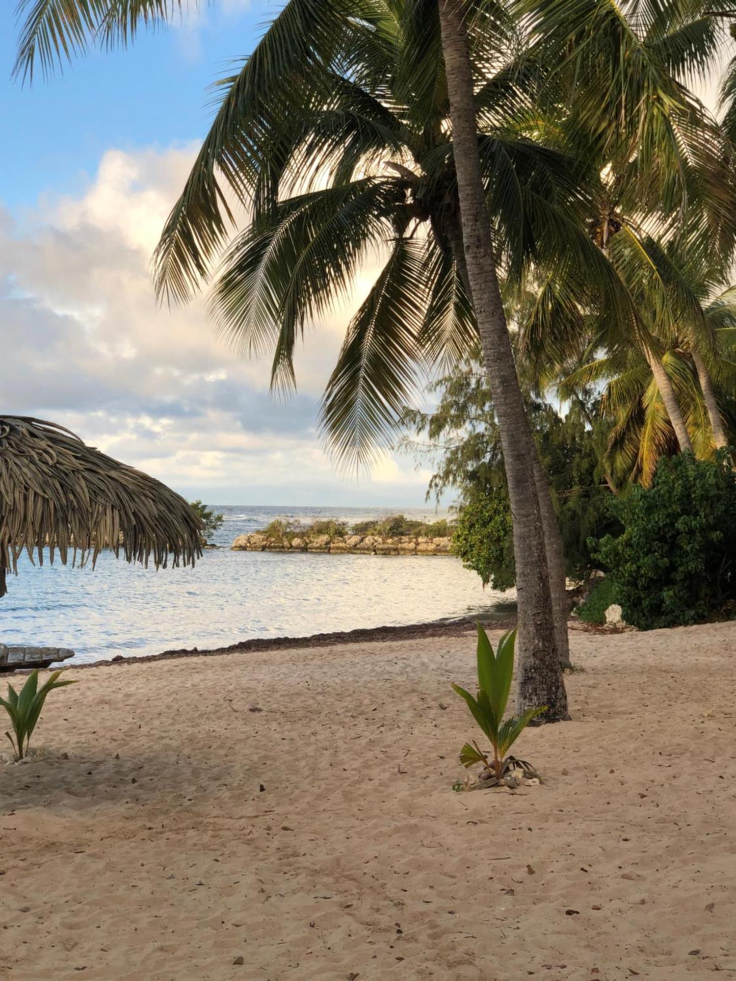 Studio Hibiscus Anse Des Rochers Saint Francois エクステリア 写真