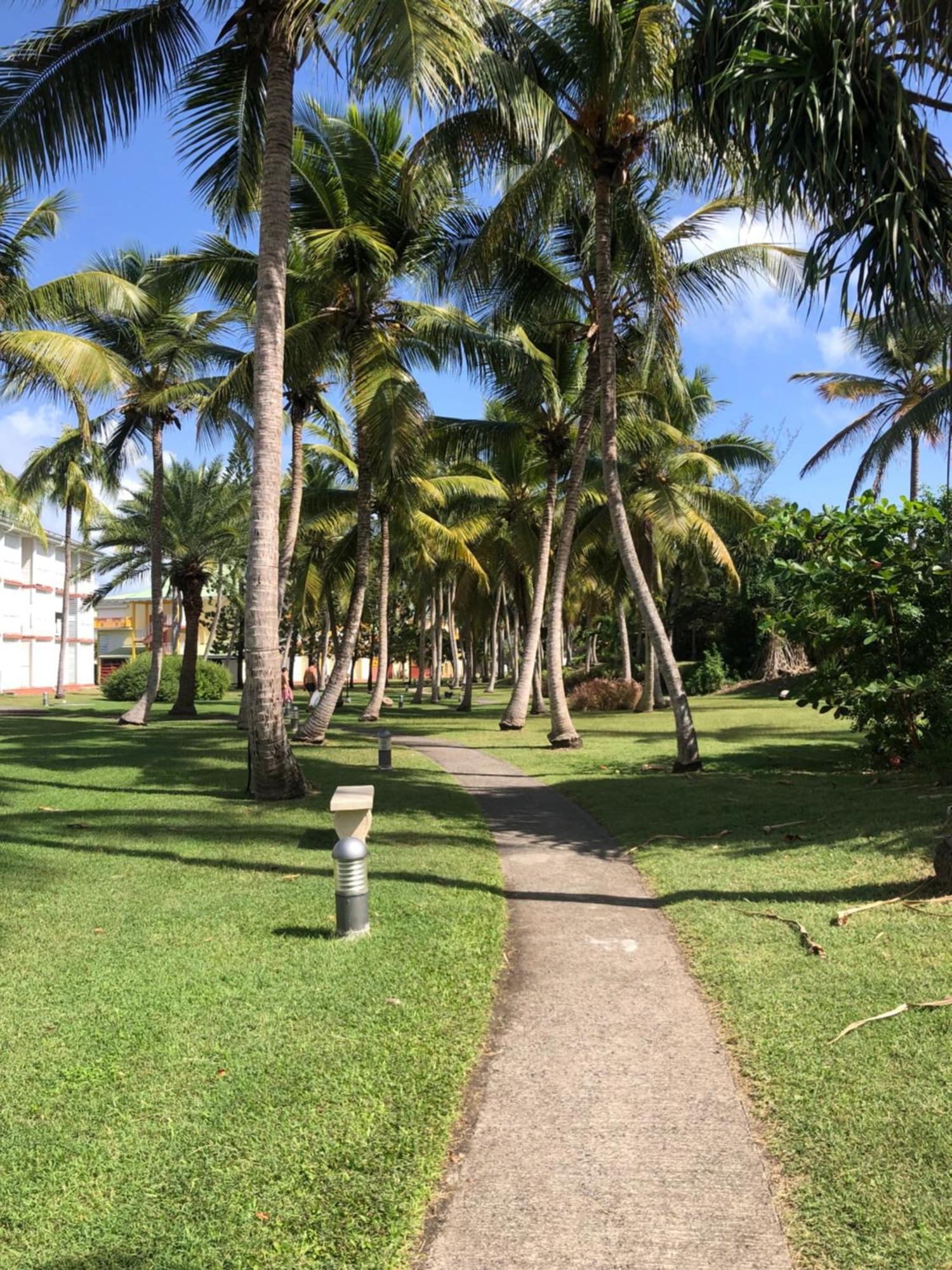 Studio Hibiscus Anse Des Rochers Saint Francois エクステリア 写真