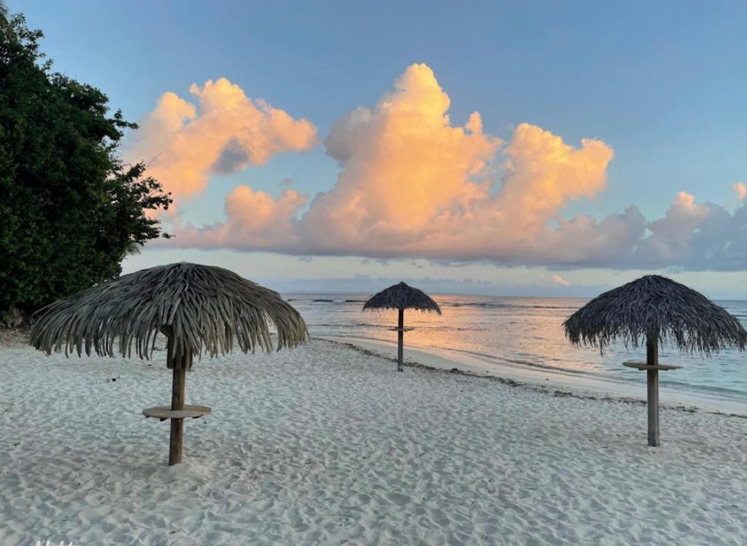 Studio Hibiscus Anse Des Rochers Saint Francois エクステリア 写真
