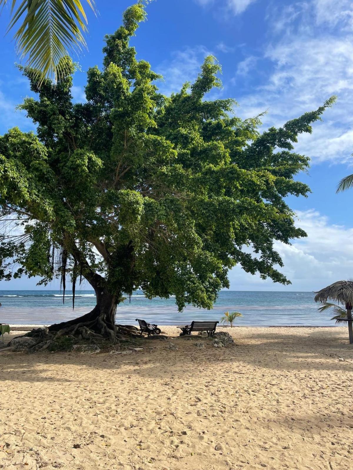 Studio Hibiscus Anse Des Rochers Saint Francois エクステリア 写真