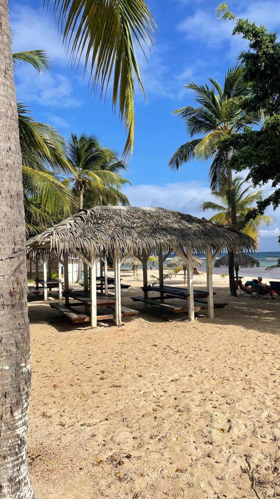 Studio Hibiscus Anse Des Rochers Saint Francois エクステリア 写真