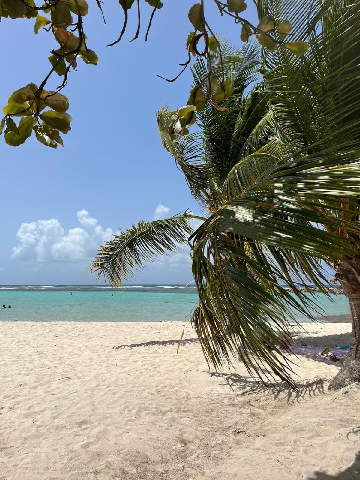 Studio Hibiscus Anse Des Rochers Saint Francois エクステリア 写真