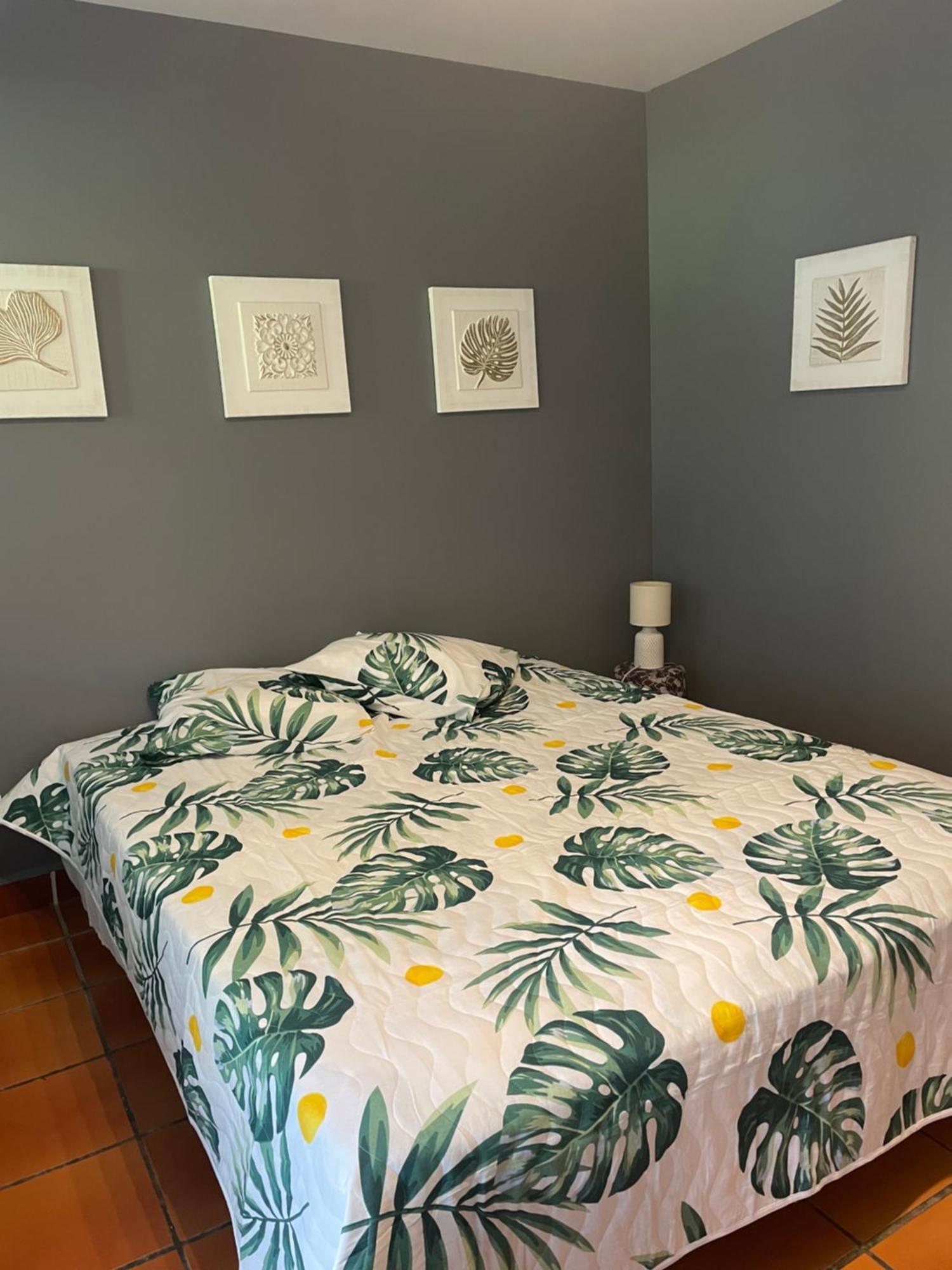 Studio Hibiscus Anse Des Rochers Saint Francois エクステリア 写真